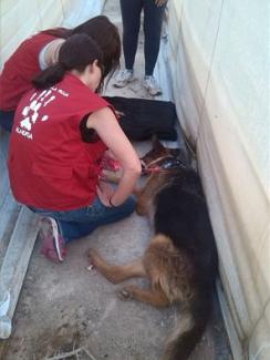 Estado en el que encontramos a Aire