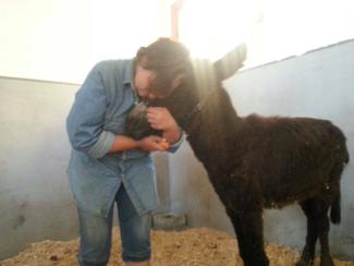 Recuperación de Capitán